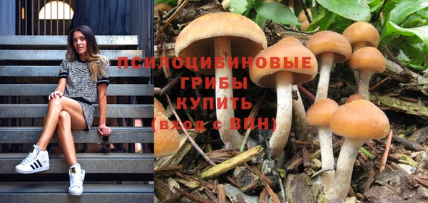 СК Михайловка