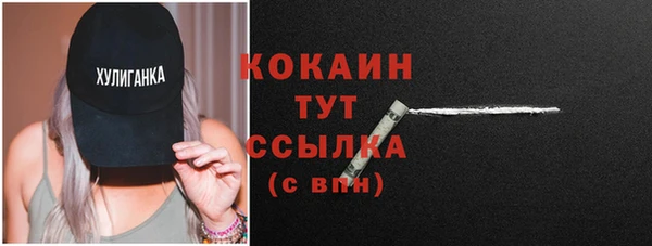 молекула духа Мегион