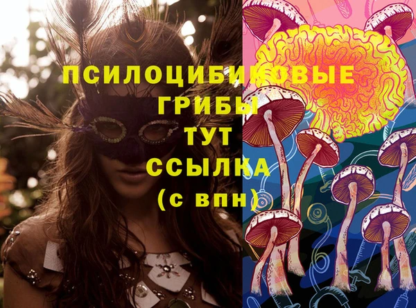 молекула духа Мегион