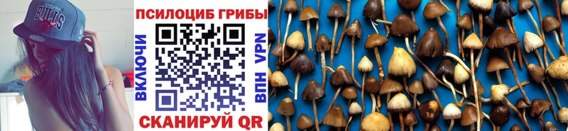 купить наркотик  Гагарин  Галлюциногенные грибы прущие грибы 