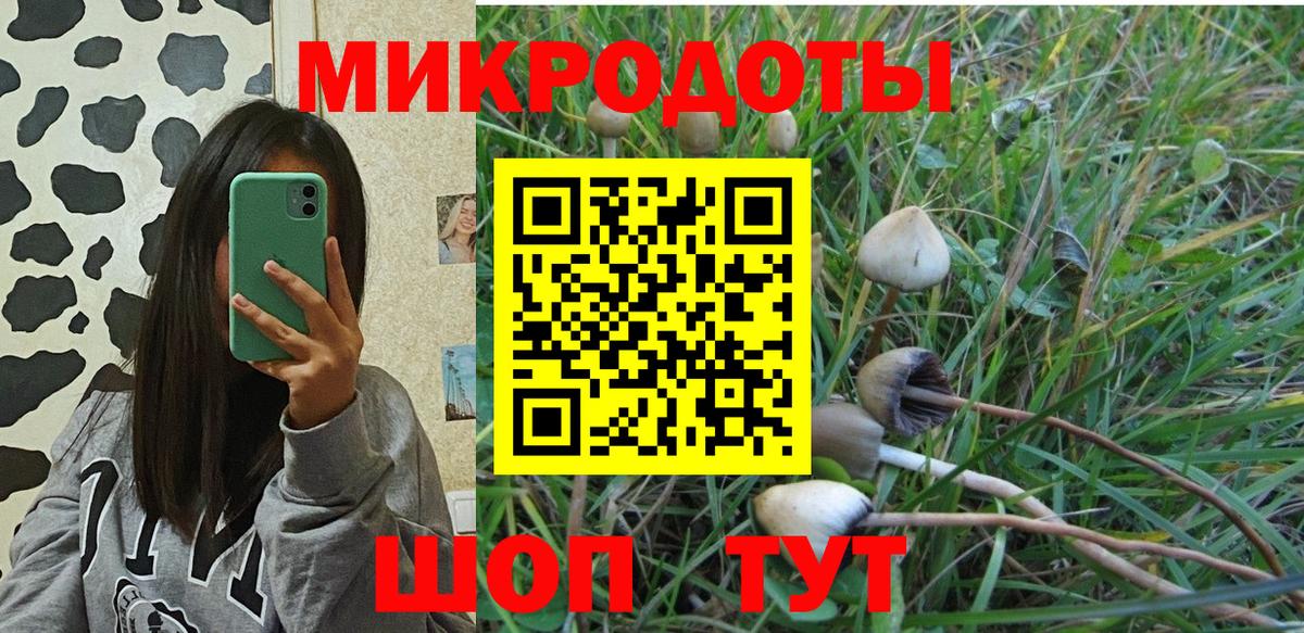 Псилоцибиновые грибы Psilocybine cubensis  Гагарин 