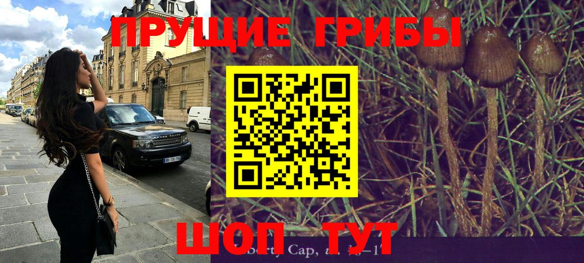 Галлюциногенные грибы мухоморы Гагарин