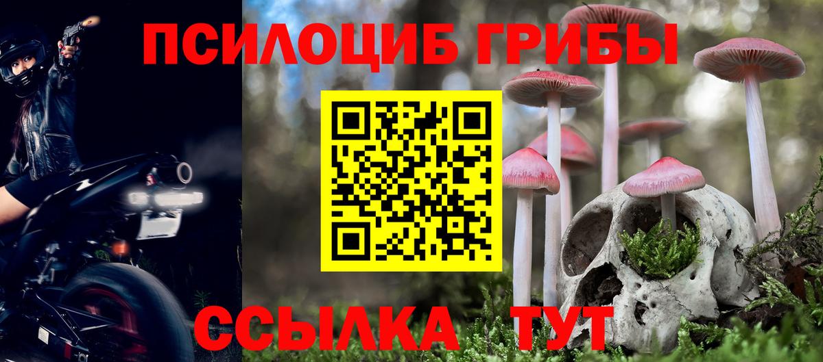 Псилоцибиновые грибы GOLDEN TEACHER  Вход с VPN  Псилоцибиновые грибы ЛСД  Гагарин 